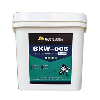 ¿ռˮϵͳBKW-006