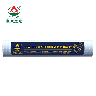 ZZW-309