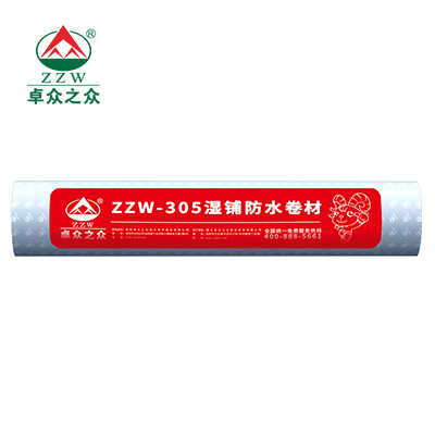 ZZW-305
