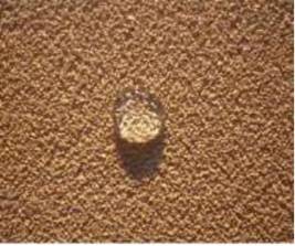 ����鿴���׹����������������ϸ˵��