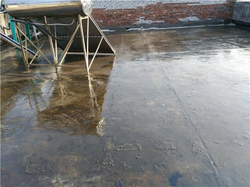 ���������¼�����*��ˮ����ϸ˵��