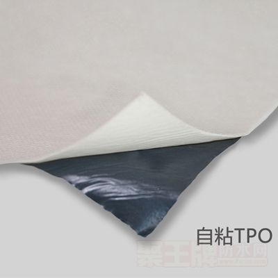 ��ճTPO��ˮ������ϸ˵��