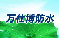 ˲