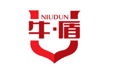 ţ