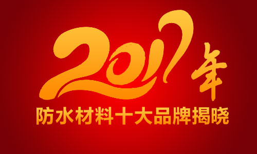 2017ˮ****