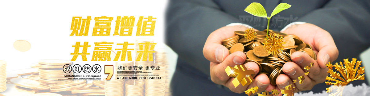 ����˫�罨�����޹�˾banner