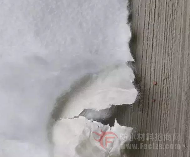 blob.png