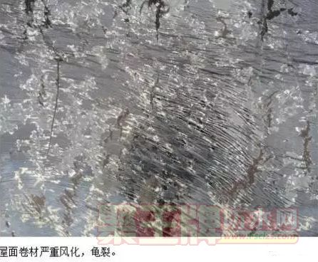 blob.png