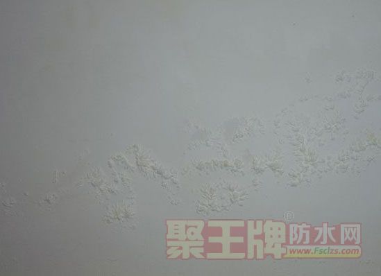 ǽ淢ùƤ