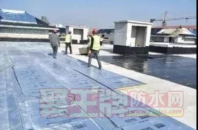 ˮһ廯ϵͳʪʩ