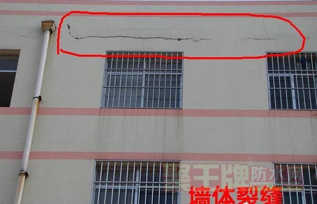 Ҫݵãǽ9