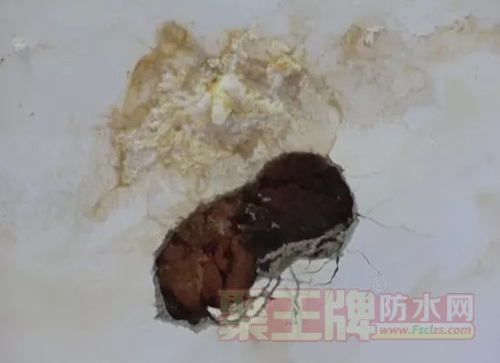 ǽѷ첹©.png