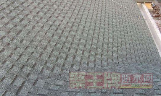 е棬ǽҵԭƬ¸һ?