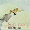 blob.png