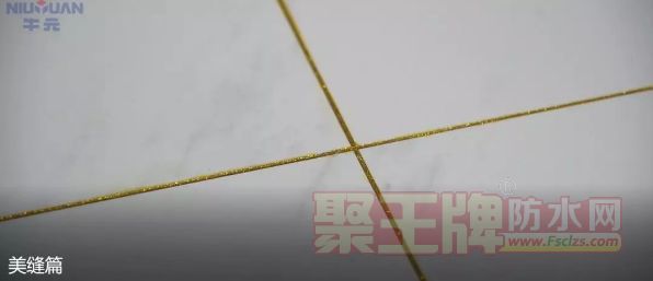 ʩ
