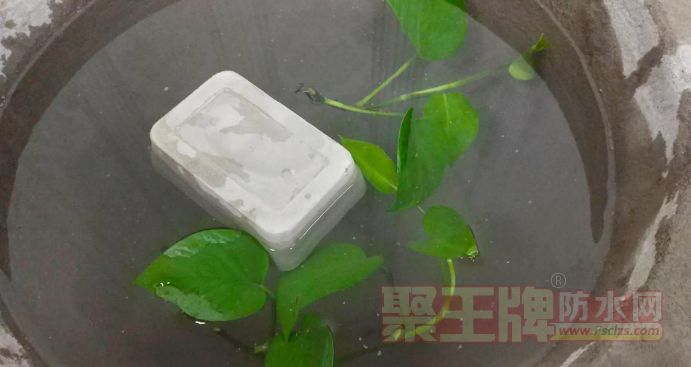 ʱ³衰񡱣ͻ©ǣ.png