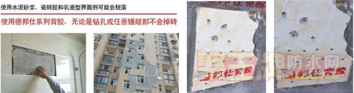 瓷砖背胶破坏实验对比.jpg