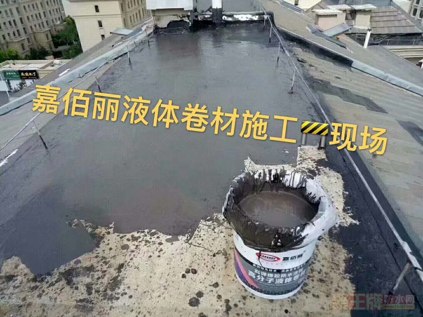 Y3.jpg