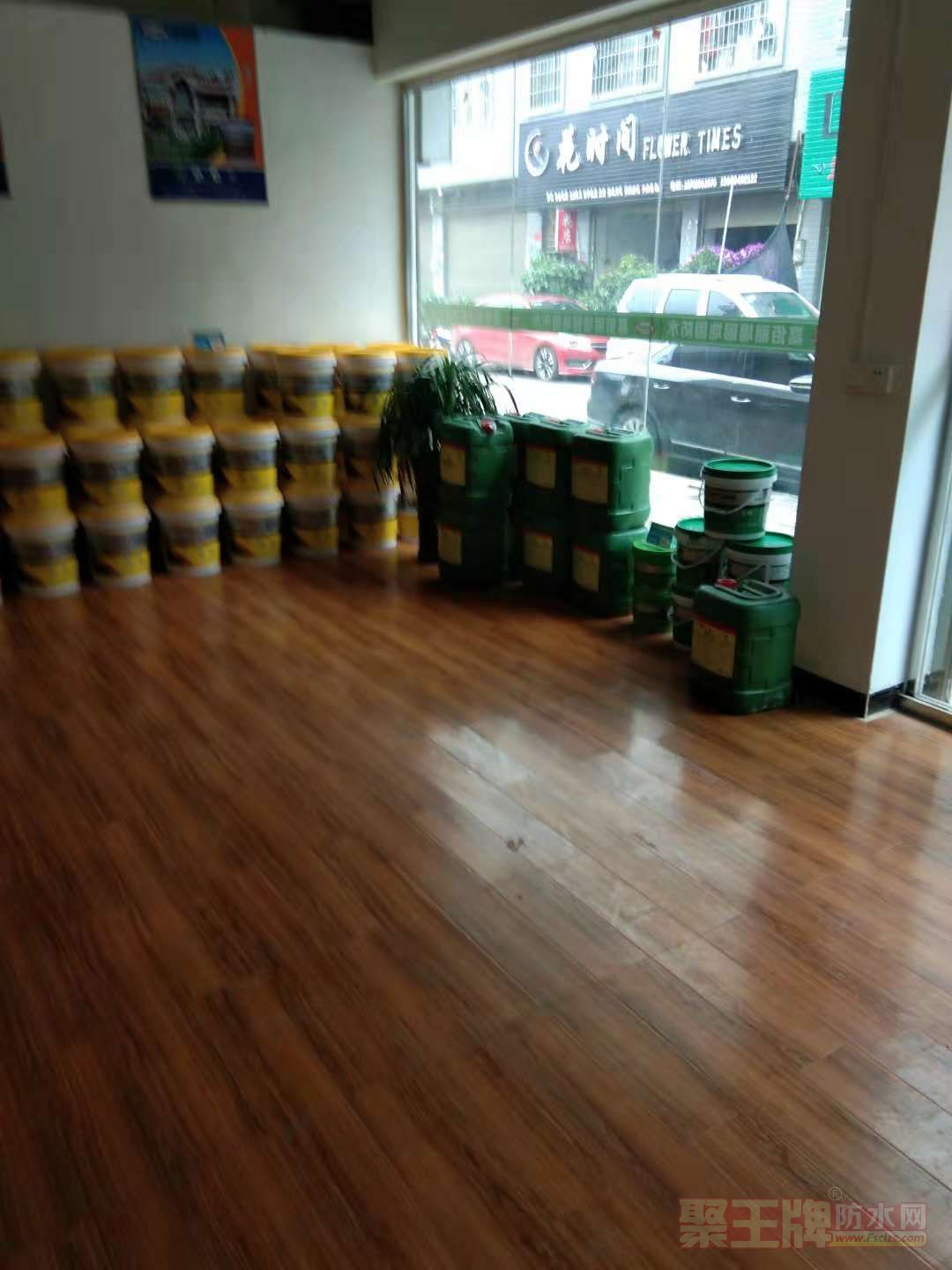 DG01.jpg