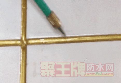 ѡͿʿҪ