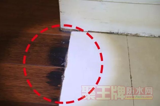鷿ذ͵שĽ紦Ϊʲôַڡùأ