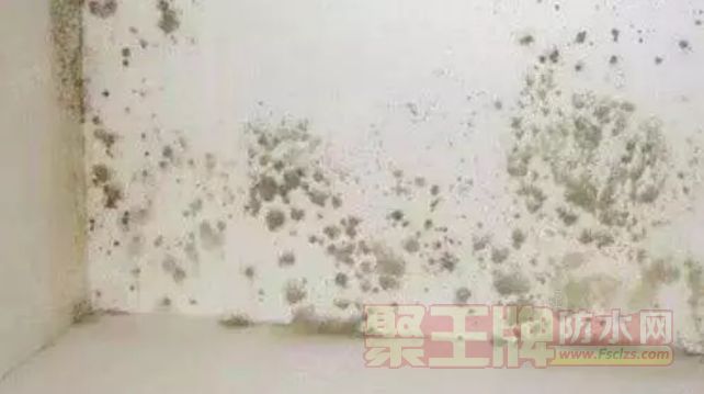 ǽ淢ù