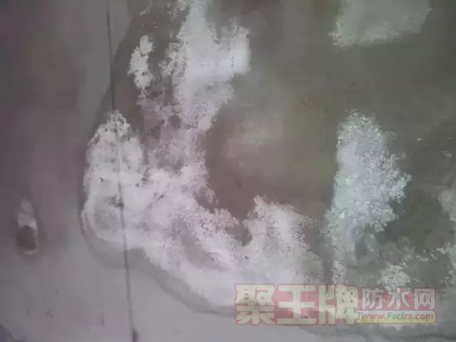 寰俊鍥剧墖_20190402134603.jpg