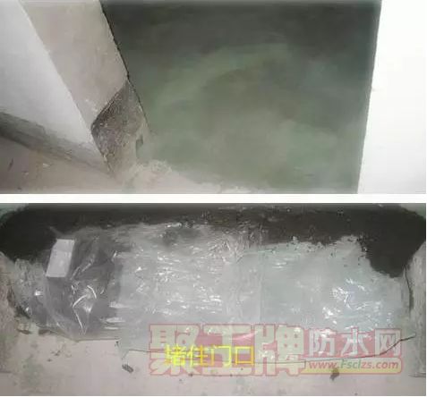 ˮ鲽