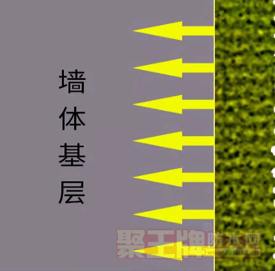 ǽ̡*ʵĻ洦ר