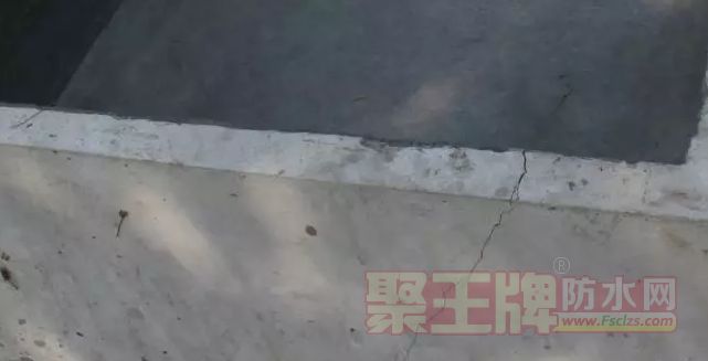 죬ӦԤ