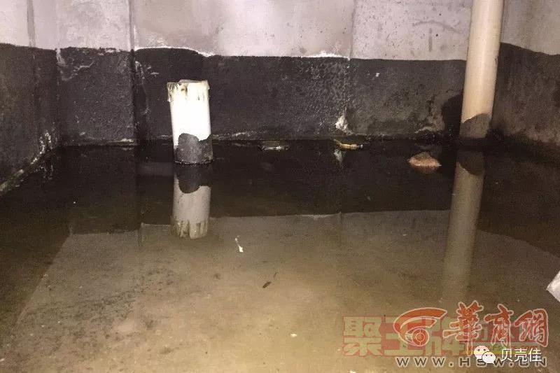 微信图片_20190704103119.jpg