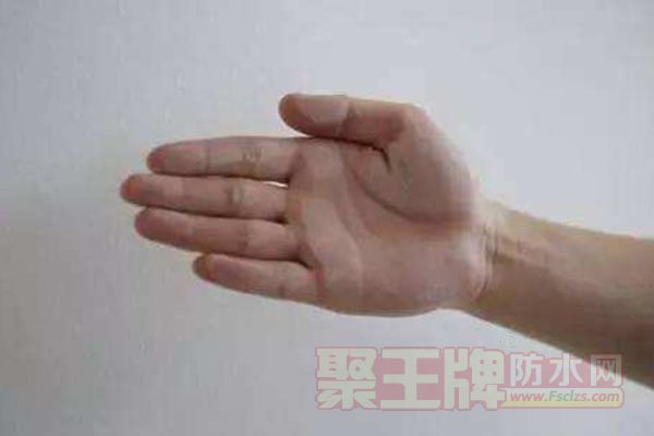 腻子3.jpg