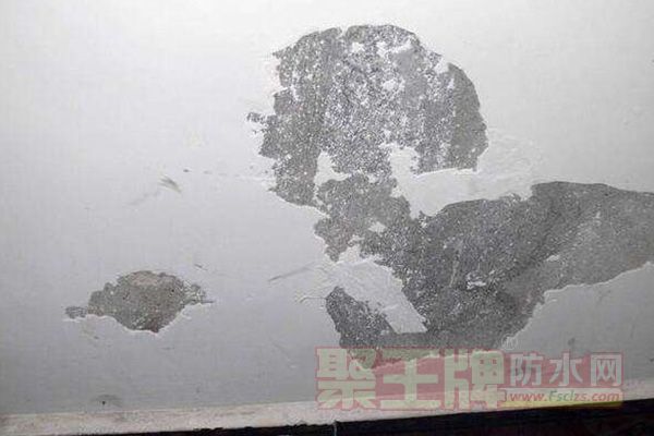 腻子5.jpg