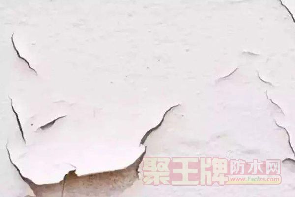 腻子7.jpg