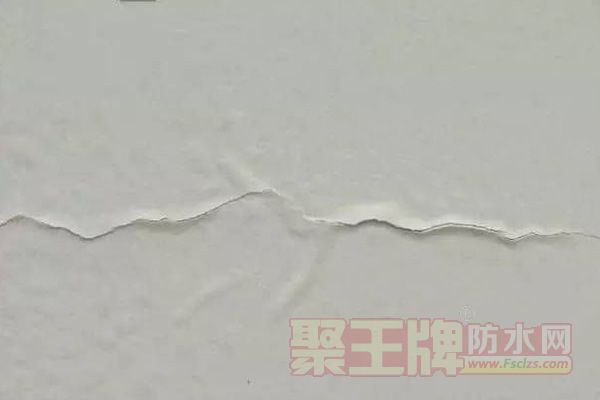 腻子8.jpg
