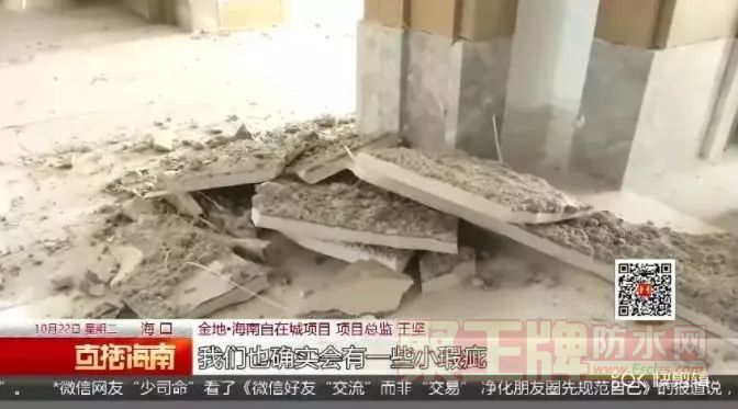 天花板渗水、墙面多处空鼓！金地海南房地产项目遭多名业主投诉.png