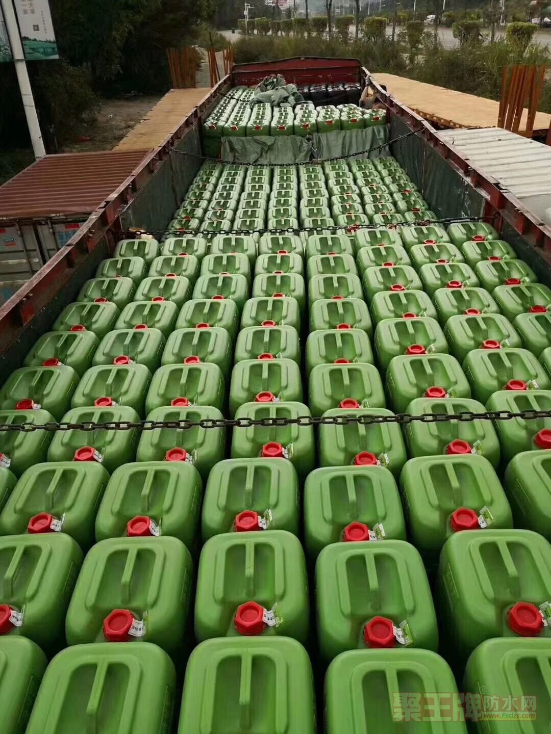 黑豹.jpg