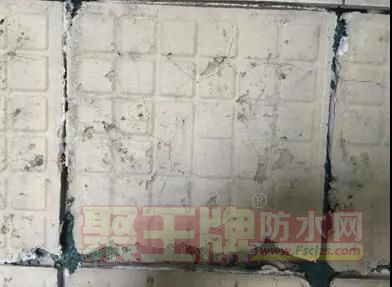 微信图片_20210713091734.jpg