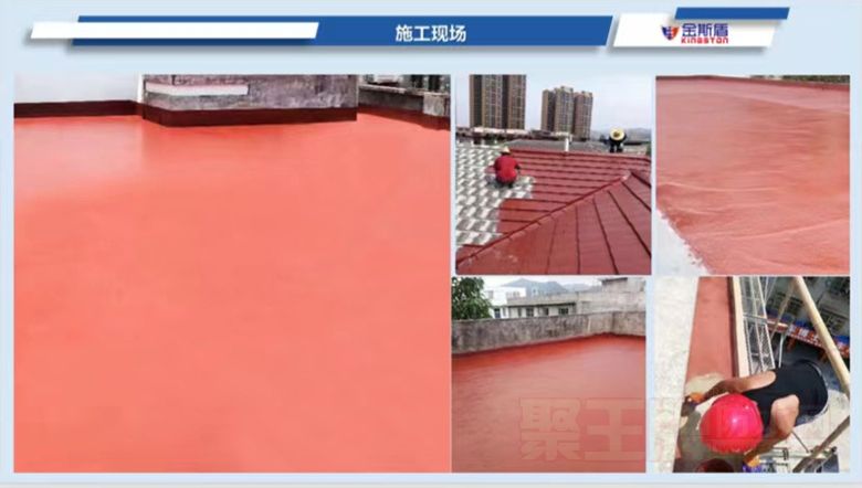 红橡�6.jpg
