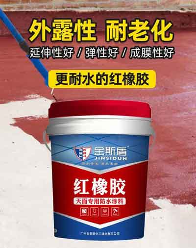 绾㈡鑳惰€愯€佸寲.jpg