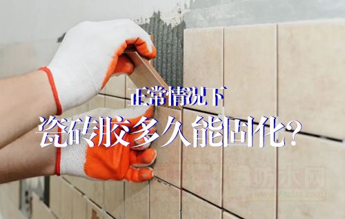 שûǿȡô£
