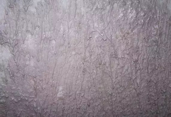 Ӧˮë