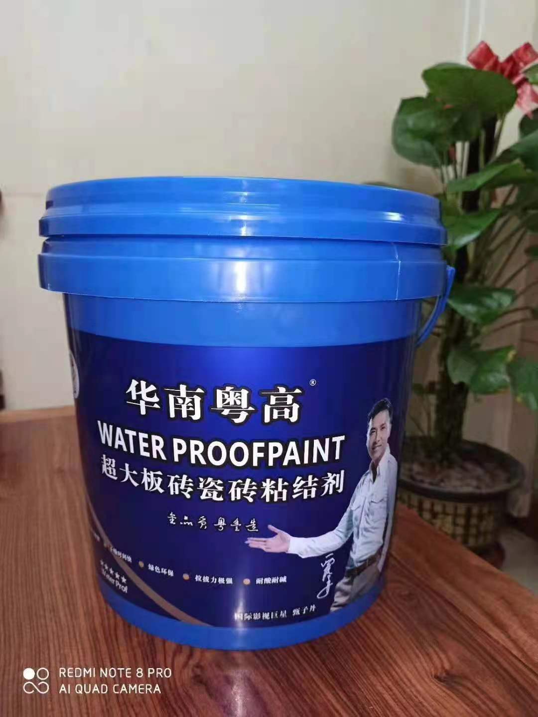ߴ屳